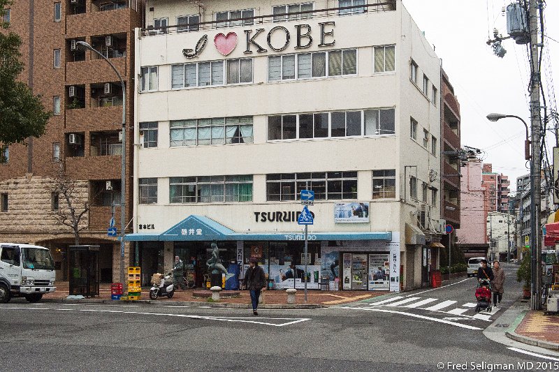 20150314_114910 D4S.jpg - Kobe